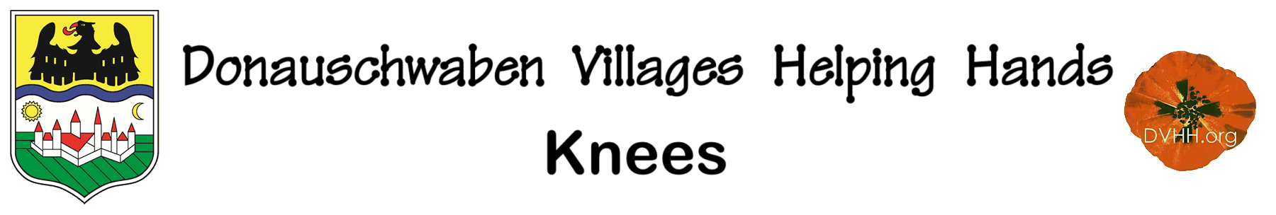 knees.dvhh.org